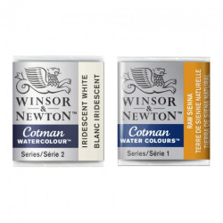 Winsor&Newton cotman watercolors in half-tones