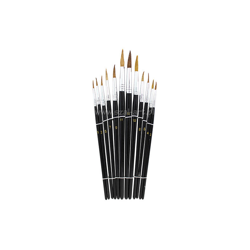 Phoenix set of 12 natural round brushes