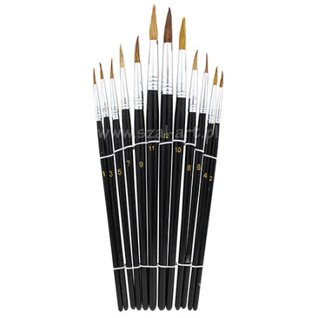 Phoenix set of 12 natural round brushes