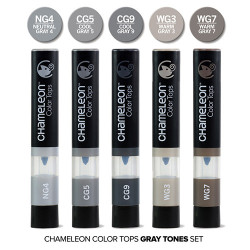 Chameleon color tops gray tones zestaw 5 sztuk - sklep plastyczny - sz