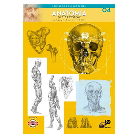 Koh-i-noor anatomia dla artystów L. Compact - sklep plastyczny - szał