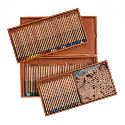 Derwent lightfast set of 100 crayons