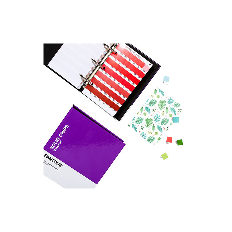 Pantone solid chips color samples
