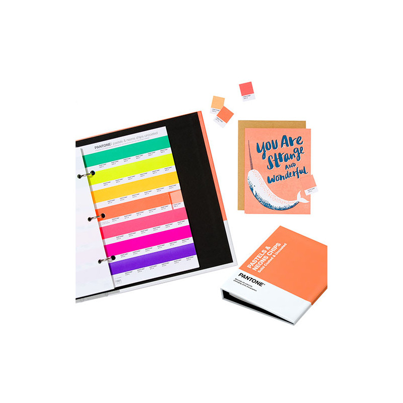 Pantone pastel & neons chips wzorniki kolorów - sklep plastyczny - sza