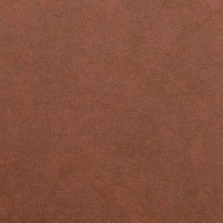 Block SM-LT watercolor fish brown spiral 280g