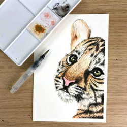 Zieler premium watercolor zestaw 24 akwareli półkostek - sklep plastyc