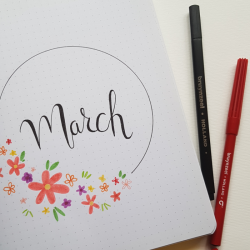 Bruynzeel set of 12 felt-tip pens in a case