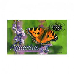 Szmal aquarius zestaw 12 akwareli w kostce Krzysztof Kowalski - sklep