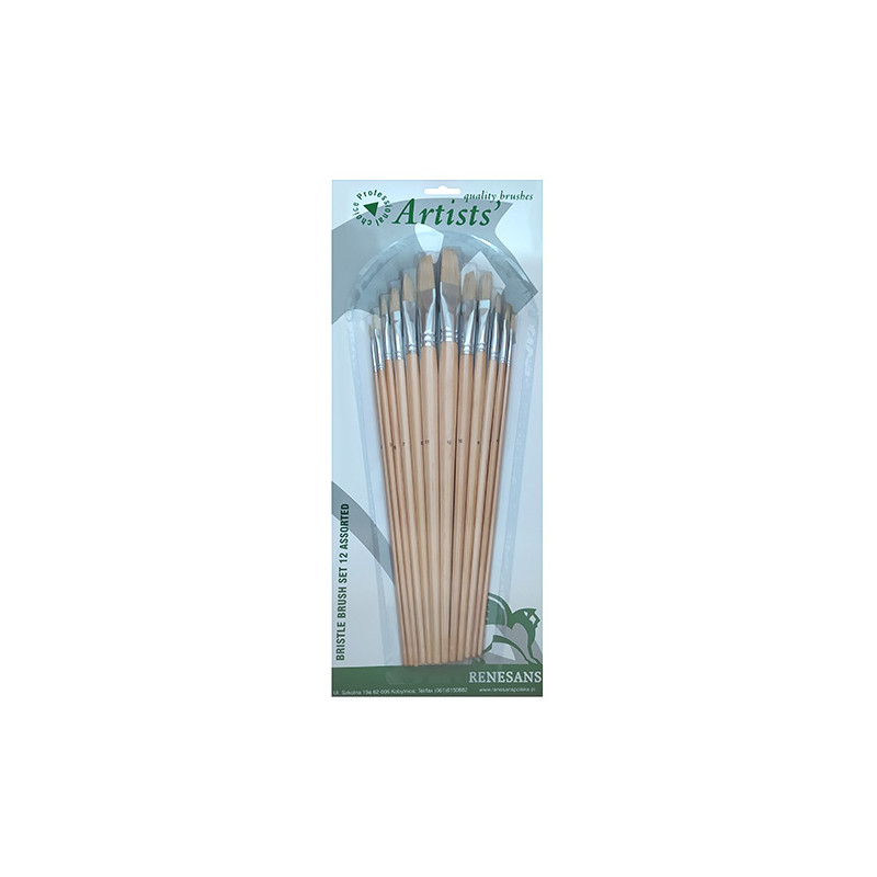 Renesans set of 12 flat bristle brushes