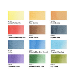 Winsor&Newton promarker watercolor landscape tones 12 pens