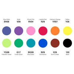 Copic ciao basic set of 12 double-sided pens