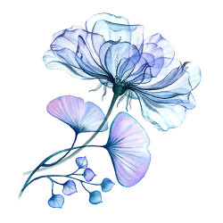 Block Clairefontaine goldline aquapad watercolor 300g