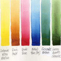 Daniel Smith floral set of 6 watercolors half cubes