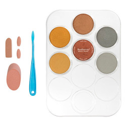 PanPastel metallic is a set of 6 metallic dry pastel colors