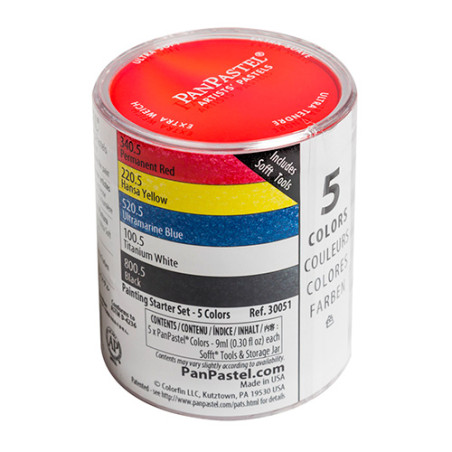 PanPastel painting starter set of 5 colors of dry pastels