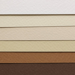 Block Winsor & Newton pastel earth for pastels 160g 24 sheets