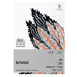 Blok Winsor&Newton bristol 250g 20ark - sklep plastyczny - szał dla pl