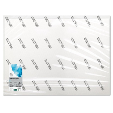 Papier Winsor & Newton cold pressed akwarelowy 56x76cm 300g 10sheets