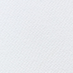 Winsor&Newton professional papier akwarelowy 56x76cm 300g - sklep plas