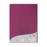 Clairefontaine pollen paper A4 160g 50 sheets