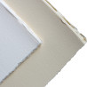 Arches velin d'arches ream of graphics paper 56x76cm 250g 10 sheets