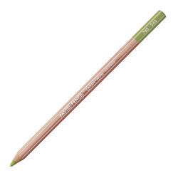 Caran d'Ache pastel pencil crayons pastel
