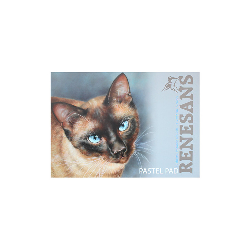 Blok Renesans pastel pad 10 zamszowych arkuszy w 5 kolorach - sklep pl