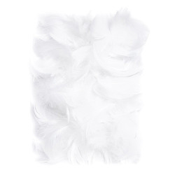 White feathers 5-12cm 10g