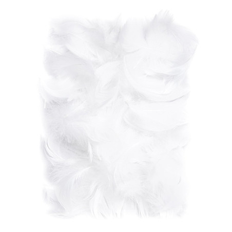 White feathers 5-12cm 10g