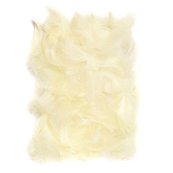 Ecru feathers 5-12cm 10g