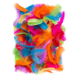 Colored feathers 5-12cm 10g