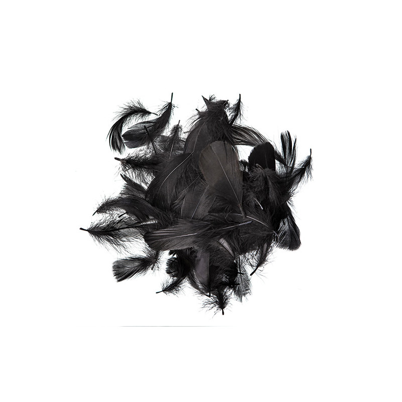 Black feathers 5-12cm 10g