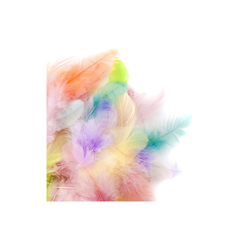 Pastel feathers 5-12cm 5g