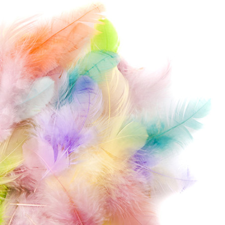Pastel feathers 5-12cm 5g