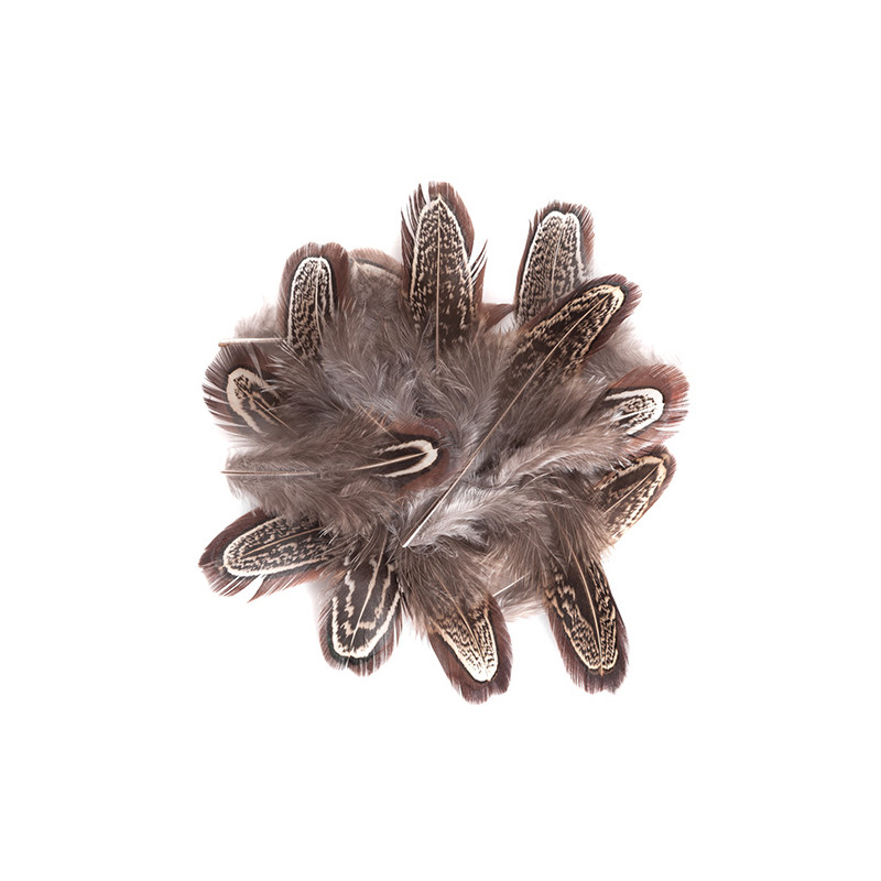 Pheasant feathers 5-12cm 15 pieces