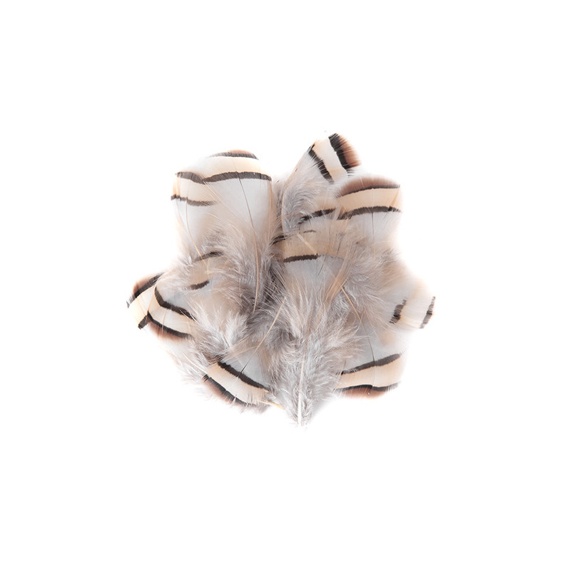 Pheasant feathers 5-7cm 15 pieces