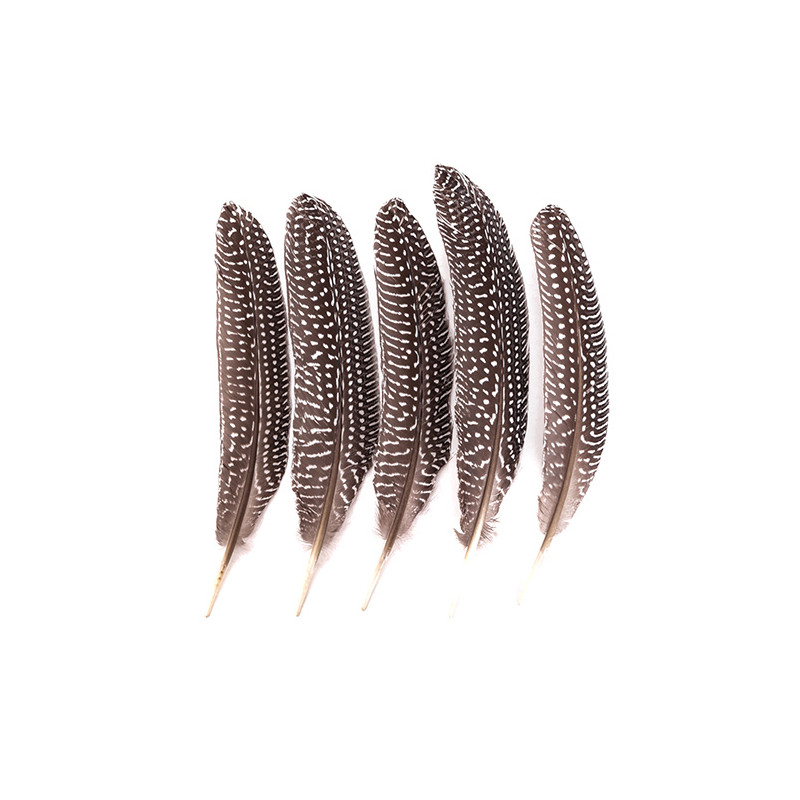 Piórka bażanta 18-20cm 5 sztuk - sklep plastyczny - szał dla plastyków