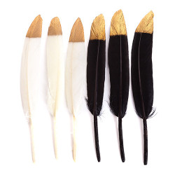 Decorative black and ecru feathers 13-15cm 6 pieces