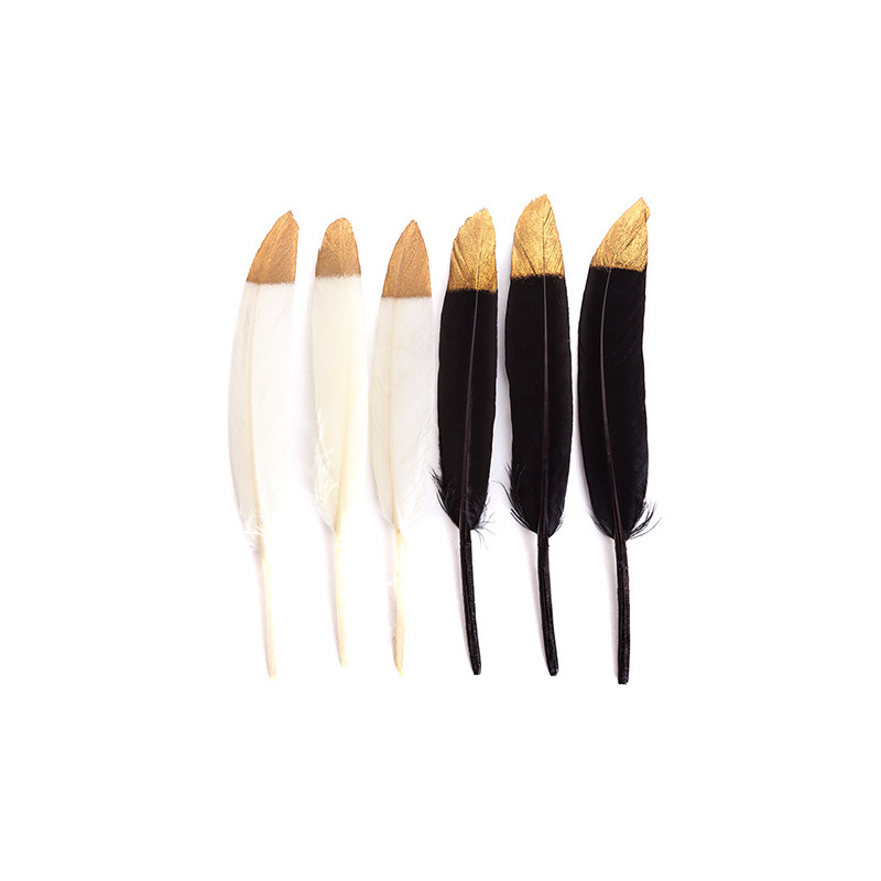 Decorative black and ecru feathers 13-15cm 6 pieces