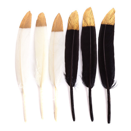 Decorative black and ecru feathers 13-15cm 6 pieces