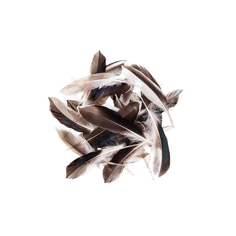 Duck feathers 10-15cm 10g