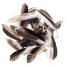 Duck feathers 10-15cm 10g