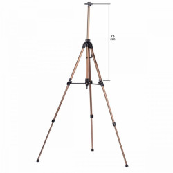 Outdoor aluminum easel in a case of champagne color