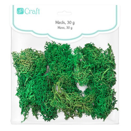 DP Craft moss 30g