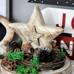 DP Craft moss and natural elements mix 30g