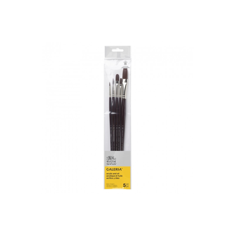Winsor & Newton gallery set of 5 long handle brushes