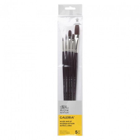 Winsor & Newton gallery set of 5 long handle brushes