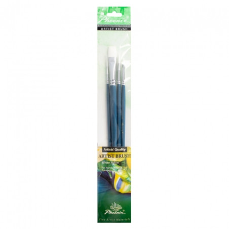 Phoenix set of 4 different synthetic long handle brushes