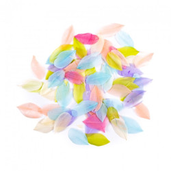 Pastel goose feathers 6cm 5g