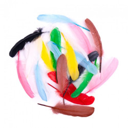 Colorful goose feathers 16cm 20 pieces